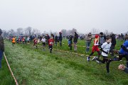DSC00536 DSC00536
